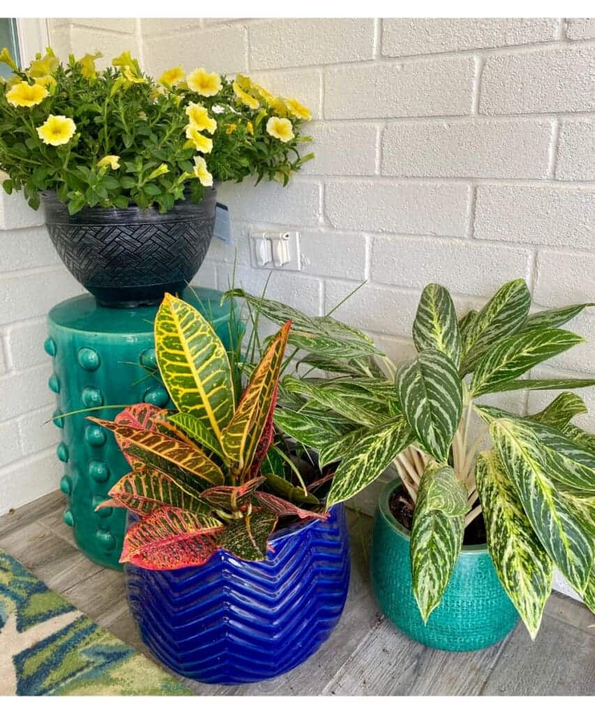 We chose some brightly colored plans and flowers with yellow accents for the front porch for spring 2021.
MySimpaticoLife.com